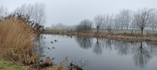 Weerspiegeling / grijze dag 