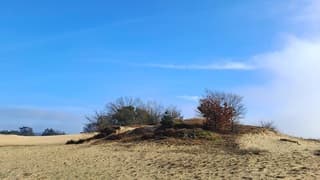 Zon met sluierbewolking 