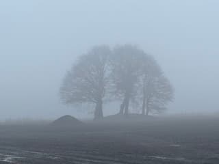 Grafheuvel in de mist