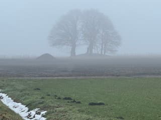 Sneeuwresten en mist
