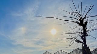 Bijzon in sluierbewolking 