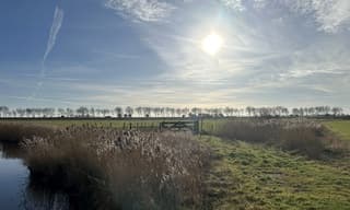 Zon en sluierwolken.