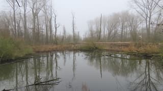 Ook na ruim een uur nog steeds mist