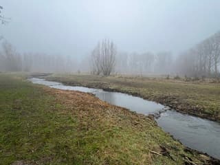 Mist bij de vistrap 