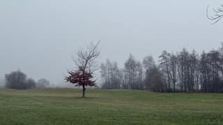 Beetje depressief grijze dag