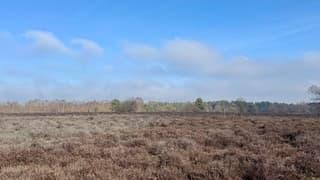 Ermelose heide