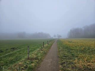 Mistige middagwandeling