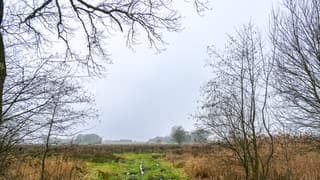 In de middag was de mist verdwenen maar het bleef bewolkt