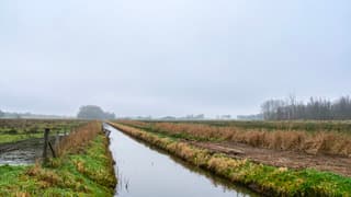 In de middag was de mist verdwenen maar het bleef bewolkt