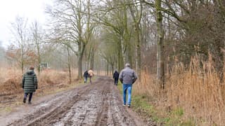 In de middag was de mist verdwenen maar het bleef bewolkt
