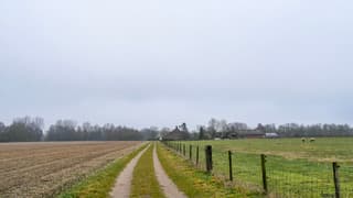 In de middag was de mist verdwenen maar het bleef bewolkt