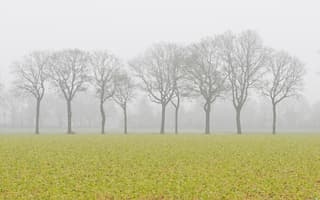 Kleur in de mist