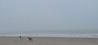 Mist en heel erg winderig en fris