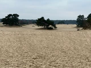 Zandverstuiving 