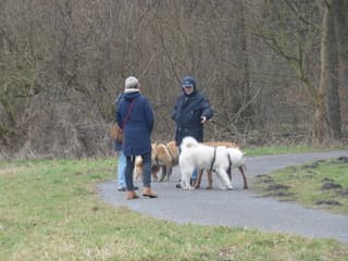Het is altijd wandelweer.