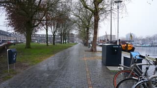 Ook vandaag een grijze dag