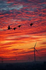 Mooie zonsopgang in Almere buiten