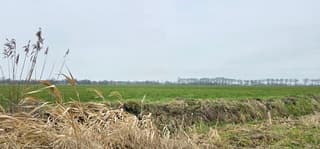 Bewolking boven de Groninger landerijen vanmiddag 
