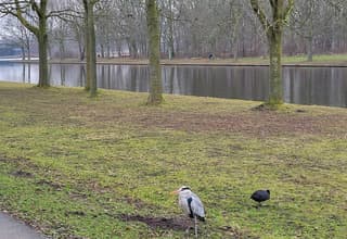 Een rustige winterdag. 