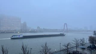 Grijs en miezerig met lichte regen 