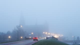 Mistig op De Maasboulevard