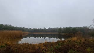 Grijs en motregen bij deze natuurplas