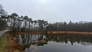 Grijs en motregen bij deze natuurplas in Delden, tijdstip foto 13.01 uur.