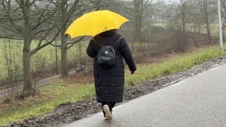 Mist en regen lek Vianen 