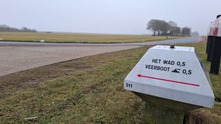 Grauw en grijs  Schiermonnikoog.