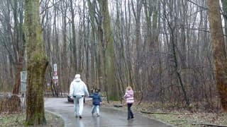 Boswandeling tussen de buien door 