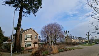 Na regen komt zonneschijn!