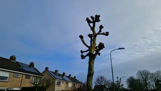 Opklaringen bereiken t Veld 