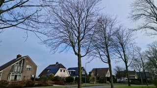 Na regen komt zonneschijn 