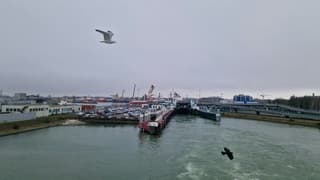 Grijs boven den Helder 