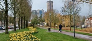 Even droog, gauw de hond uitlaten 