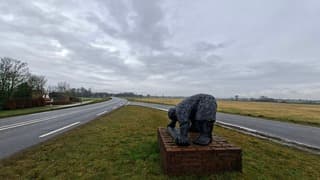 Bewolkt maar geen regen vanochtend op de IJsseldijk langs de IJssel