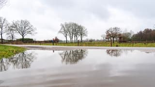Een afwisseling van regenbuien maar er stond bijna geen wind