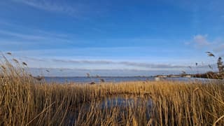 Veel (koude) wind aan de rietoevers in Giethoorn, tijdstip foto  16.18 uur