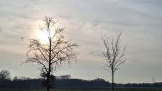 in de middag sluier bewolking