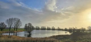 Rustige ochtend met wat zon