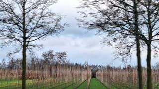 bewolking in de ochtend