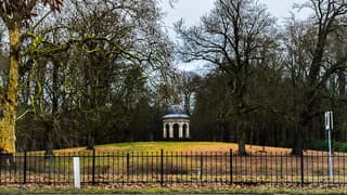 Onderweg naar huis (foto 2)