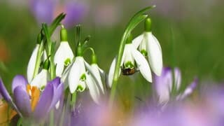 Eindelijk, eindelijk lenteweer!
