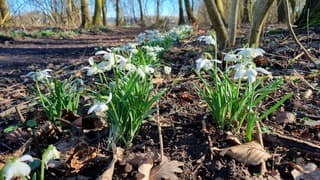 De lente komt eraan.....!