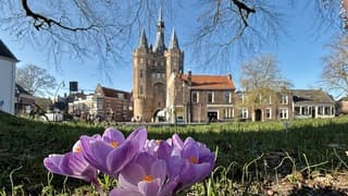 Lente in Zwolle