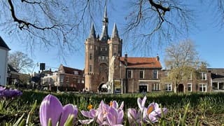 Lente in Zwolle