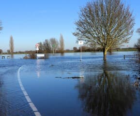 Hoog water IJssel 