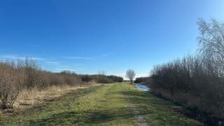 Heerlijk wandelen in het Slikken van Flakkee