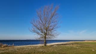 Zonovergoten bij het Amstelmeer 