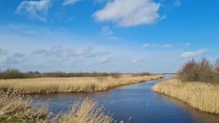 Het lijkt verraderlijk mooi...